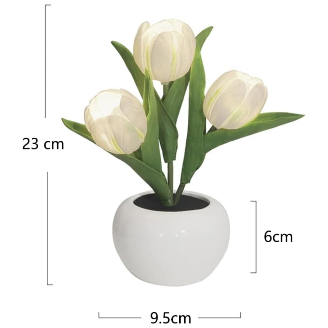 Led Tulip Lamp