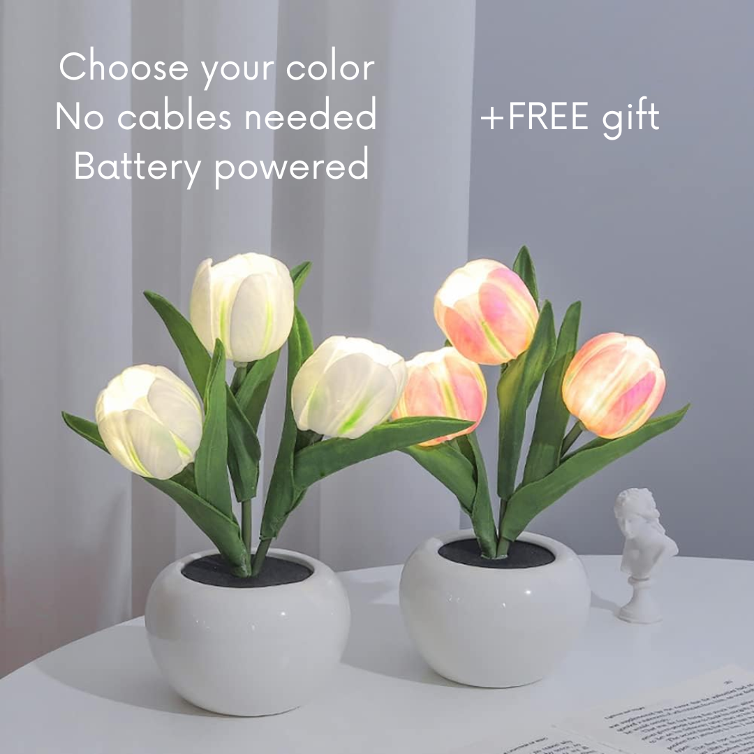 Led Tulip Lamp